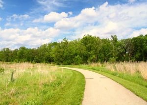 Madison County Transit